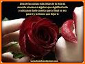 Rosas con Frases Bonitas related image