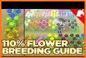 Guide Animal Crossing Horizon related image