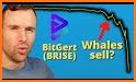 Bitrise - Crypto Wallet related image