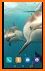 Dolphins HD. Video Wallpaper related image