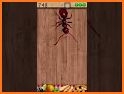 Bug Smasher 3D related image