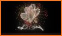 Firework - Short music videos related image