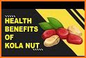 kola nut VXM09 related image