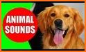 Animal Sounds For Kids And Babies No Ads related image