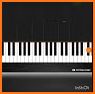 Karol G Piano Magic Tiles related image