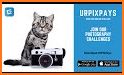 UrPixPays - Photography Challenge related image