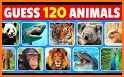 Animals' Memory for Kids related image