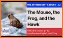 Kila: The Frog, the Mouse and the Hawk related image