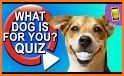 What dog breed are you? Test related image