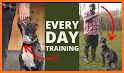 GoodPaws – Force Free Dog Training & Wellness! related image