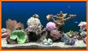 3D Aquarium Live Wallpaper HD related image