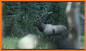 Archer Deer Hunter Free related image