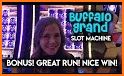 Buffalo Magic Casino - Grand Vegas Slots related image