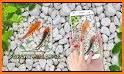 KOI Fish Live Wallpaper : New fish Wallpaper 2020 related image