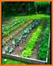 Veggie Garden Planner related image