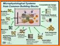 Austin Health Clinical Toxicology Guidelines related image