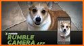 Rumble Camera - Make Money With Your Videos related image