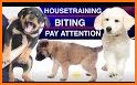 Puppr - Dog Training & Tricks related image