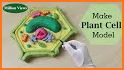 Plant DIY 3D related image