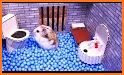 Unblock Hammy the Hamster - Puzzle Game related image