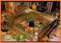 shri kashi vishwanath aarti booking related image