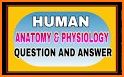 General Medical Quiz On Human Anatomy related image