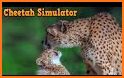 Ultimate Tiger Family Wild Animal Simulator Games related image