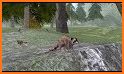 Raccoon Forest Wildlife Sim related image