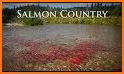 SalmonRivers related image