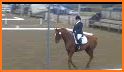 Learn A Dressage Test Board related image