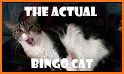 Bingo Cats related image