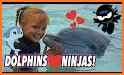 Fun Whale & My Dolphin Show Game For Kids Free🐋🐬 related image