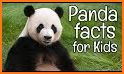 Baby Panda's Preschool Science related image