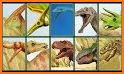 Dinosaurs puzzles related image