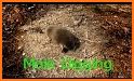 Super Mole: Underground Runner related image