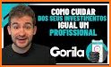 Gorila: gestão de investimento related image