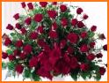 Ramos de Rosas Hermosas related image