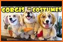 Corgi World Tour related image