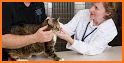 Gateway Veterinary Surgery related image