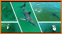 DroneShark related image