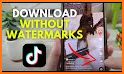 Video Downloader for TikTok - without Watermark related image