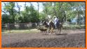 My Roping Live related image