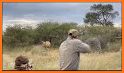 Wild Hunt - Animals Shooting related image