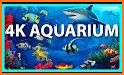 Peaceful Aquarium HD related image