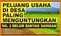 tips praktis belajar tanaman buah menguntungkan related image