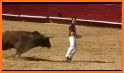 Dodge Bullfighter related image