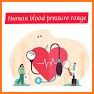 Blood Pressure Records Tracker : BP Health History related image