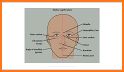 Positioning and Radiographic Anatomy of the Skull related image