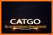 CatGo related image