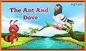 Kila: The Ant and the Dove related image